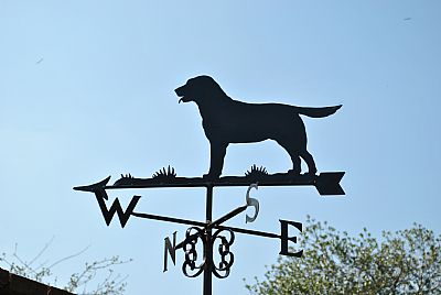 Labrador weathervane